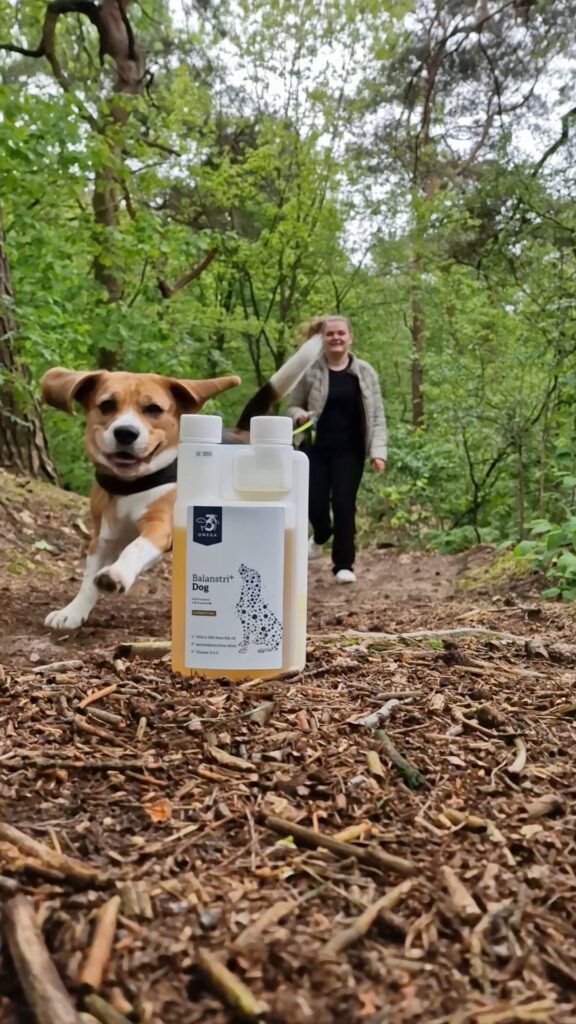 UGC foto met mijn hond die naar een supplement rent